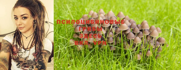 PSILOCYBIN Вяземский